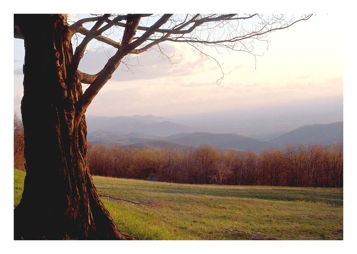 Shenandoah NP